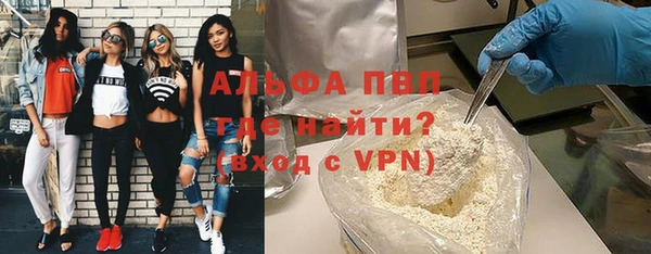 стаф Покачи
