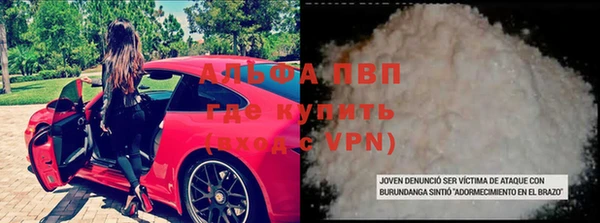 стаф Покачи