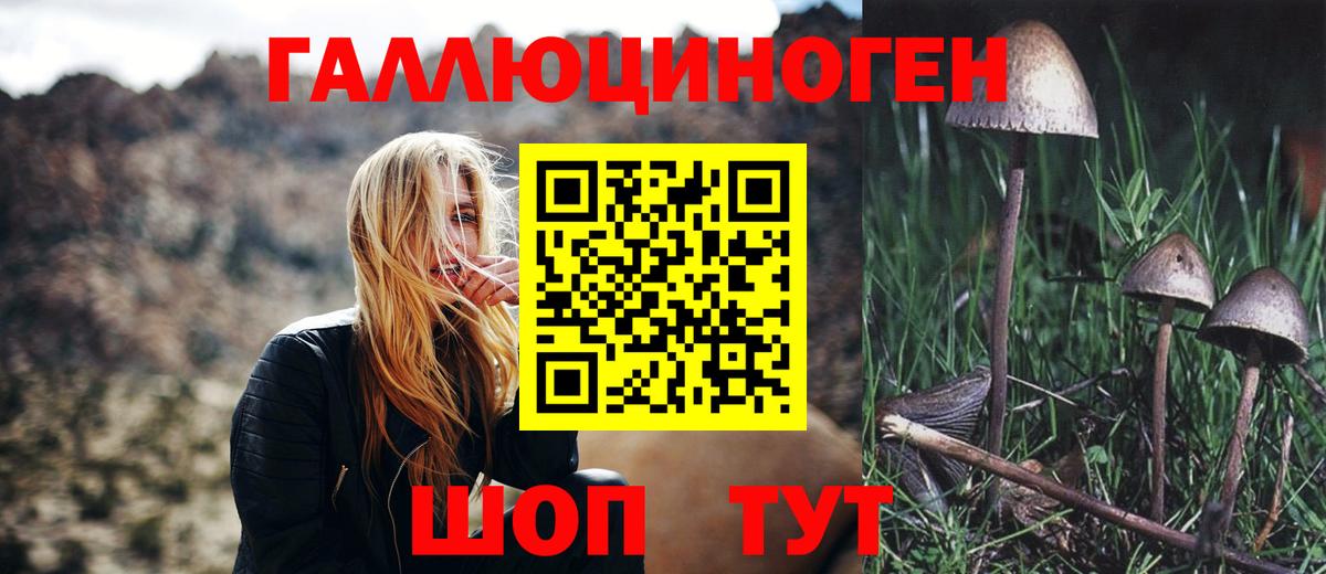 Псилоцибиновые грибы Psilocybe Богородицк